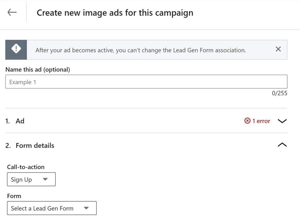Lead Generation Campaign on LinkedIn for Beginners 13 form li